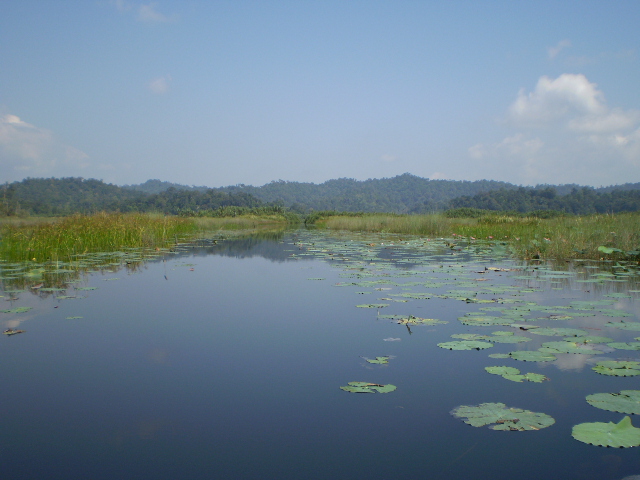 Around Tasik Chini, the Bridging Scales and Knowledge Systems project, image courtesy of Sustainable Development Network Malaysia (SUSDEN).