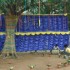India | Green World Art and Culture Festival 2012 | open call