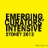 Emerging Curators Intensive | Sydney 2012 | call