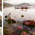 Mumbai | ‘Pink is the Navy Blue of India’ Norman Parkinson exhibition
