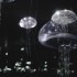 Contemporary Talents | grants | call for submissions