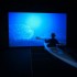 Jette Gejl, Hyperkinetic Kayak (2009), photo: Martin Ravn, Moesgaard Museum. RETHINK - Contemporary Art and Climate Change project (Denmark)