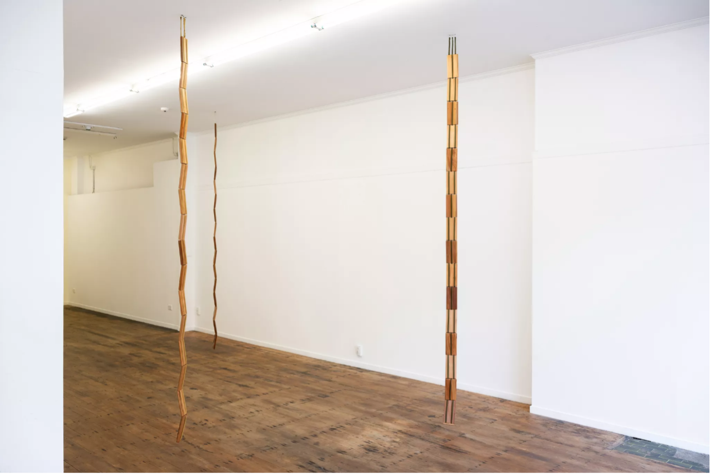 3. We All Become All These Things - Megan Brady, installation view at Blue Oyster Art Project Space &copy; Alex Lovell-Smith