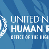 UN Logo