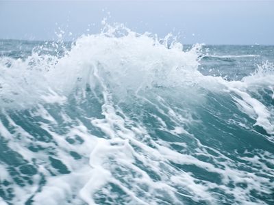 Deep Weather - Sea, Louise Manifold