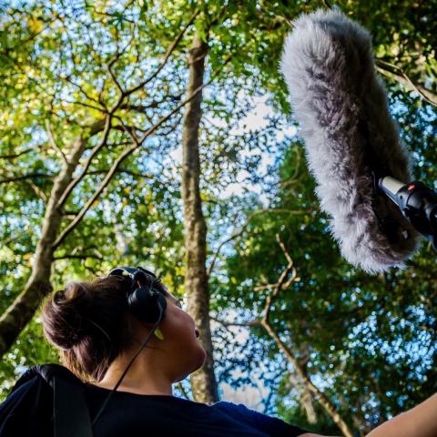 Recording sounds in Noosa Biosphere Reserve (Creative Responses to Sustainability Australia Guide)